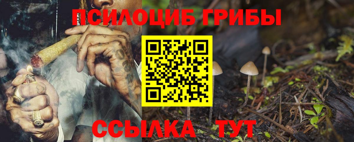 Галлюциногенные грибы GOLDEN TEACHER Сафоново