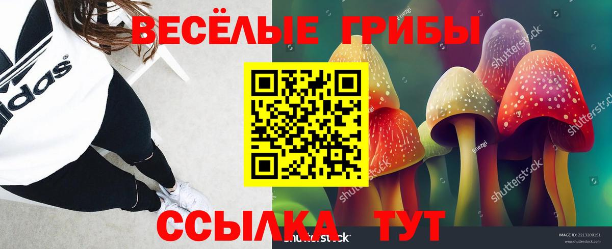 Галлюциногенные грибы мухоморы  Псилоцибиновые грибы Magic Shrooms  Сафоново  Вход с VPN 