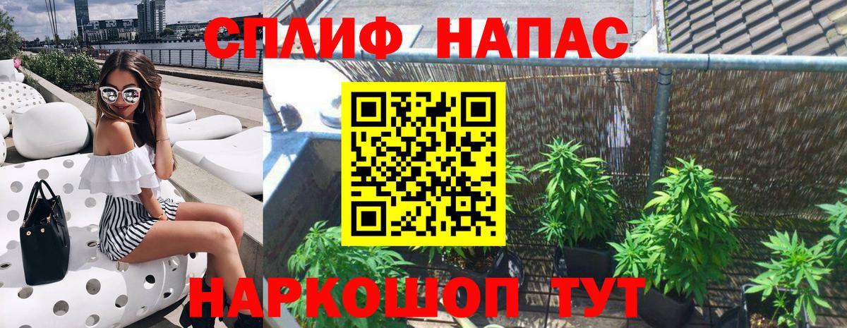 Канабис конопля Сафоново